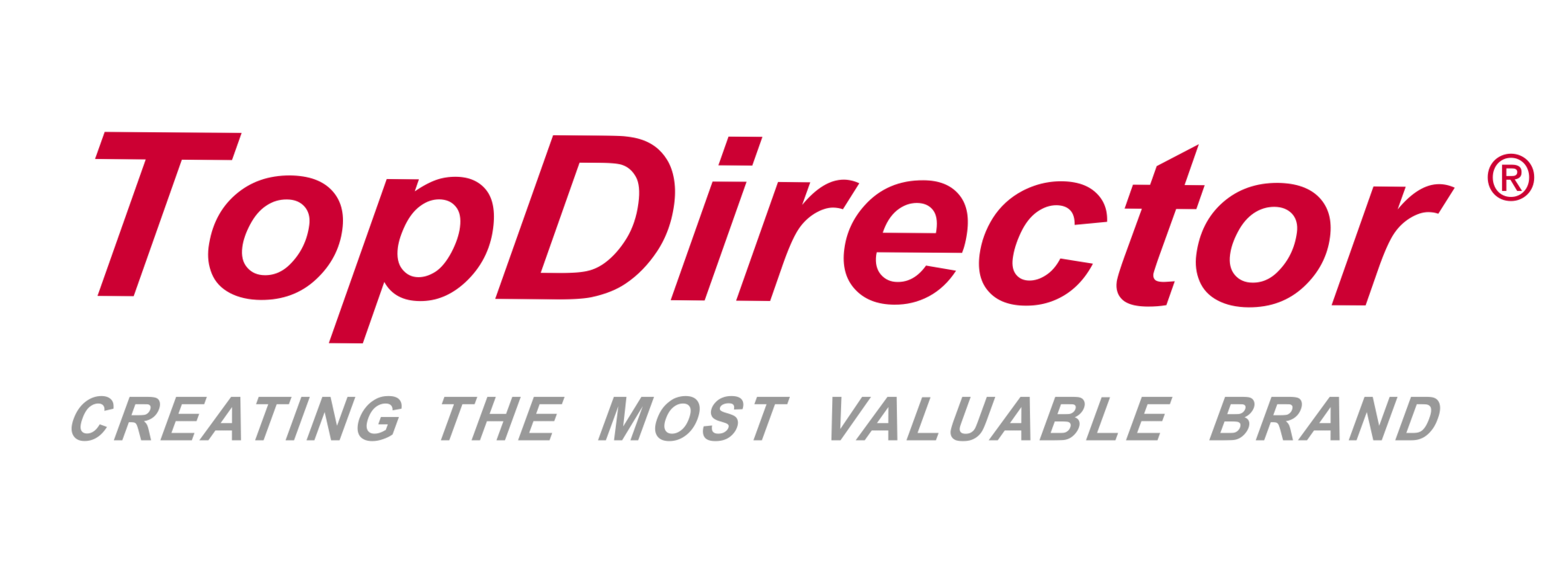 Logo of TopDirector